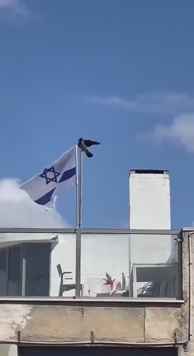 Ворона антисемит