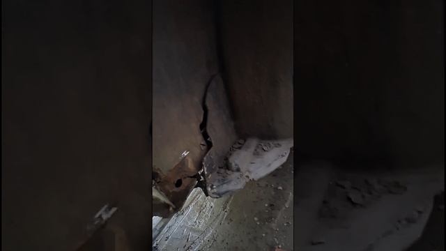 1000039440.mp4
