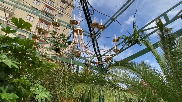 Лето в Москве. Водопад в тропическом лесу на Манежной площади.