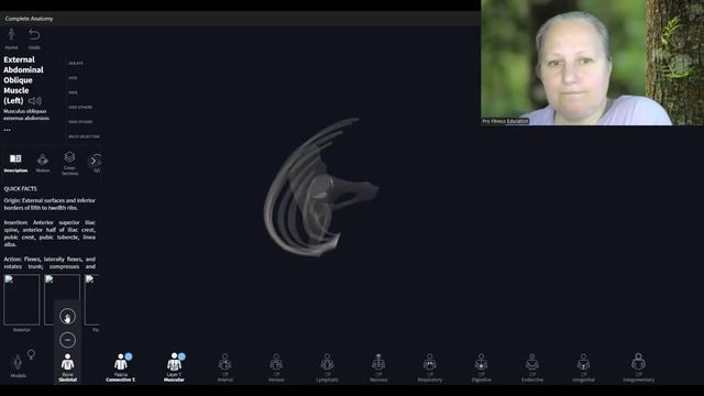 Внешняя косая мышца. Анатомия. Часть 2. - Pro Fitness Education (720p, h264)