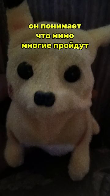 Милый пёсик 🐶