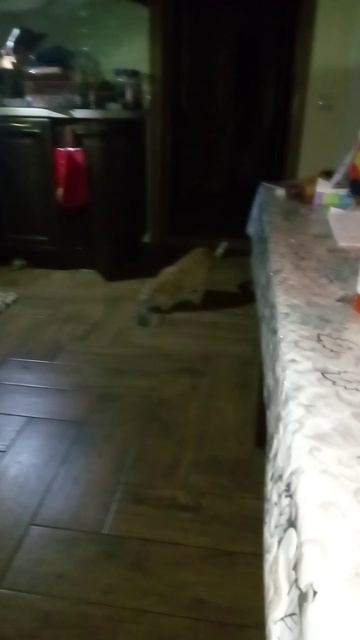 1000000329.mp4