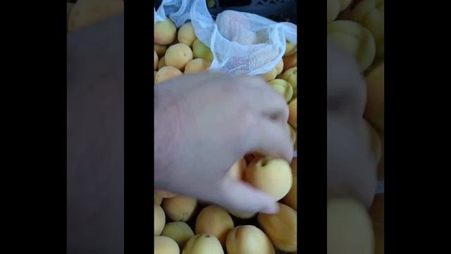 1000443739.mp4