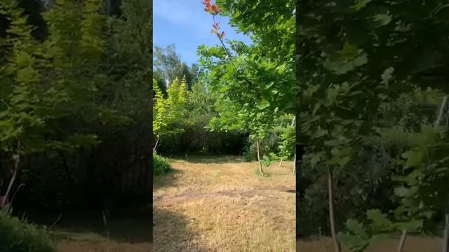 купить дом, дачу у озера