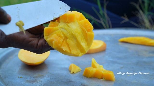PALM JUICE WITH MANGO பதநீரில் மாம்பழம் சேர்த்து ருசியான ஜூஸ் Traditional Village Food Grandpa