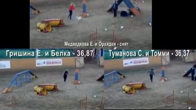 Аджилити Кубок России Орхидея, Белка и Томми