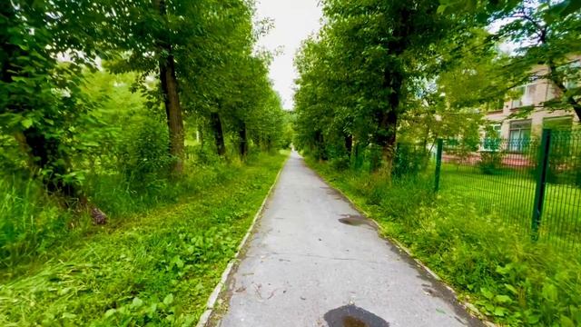 21-06-2025 Молодой вороненок и котики - обормотики 😉😍