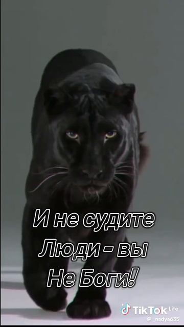 1000007340.mp4
