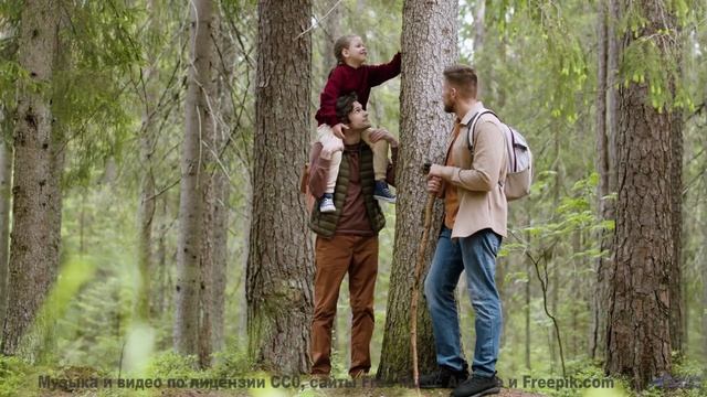 Природа и музыка здесь - сильнейший удар по эмоциям - Oh My Kid -- Hope and Social -- Yorkshire Elec