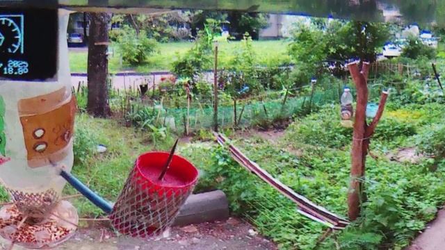 в Прокуратуру Москвы Под окном 2025 июнь 16 - 18 яндекс такси поливалки клополовы клопотрус