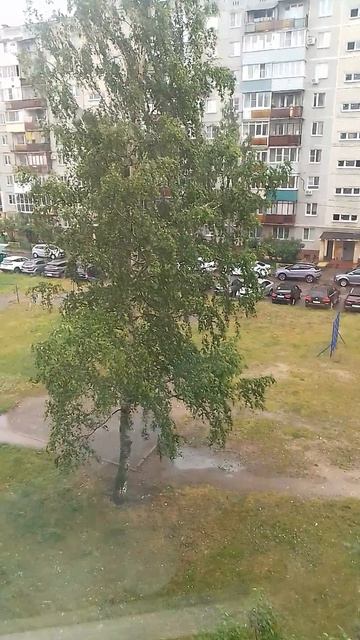 21 июня 2025 года.