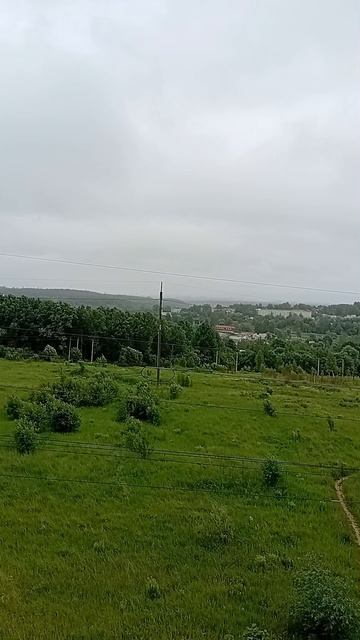Калуга погода июнь 21.06.2025. Холодно, дождливо, ветрено.