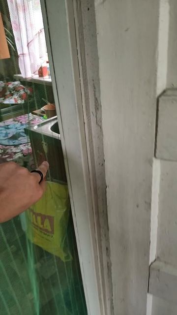 1000076951.mp4