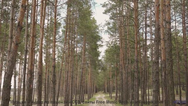Музыка и пейзажи соединяются сильнее любых слов - Never Stop -- Kirk Osamayo -- Season Two (BLUE)