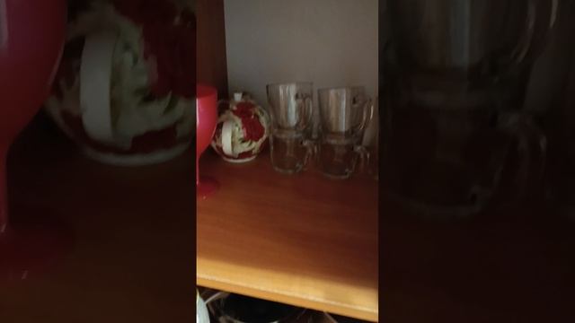1000020575.mp4