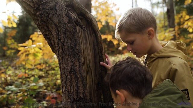 Музыка и виды вместе делают время ненужным - Hey Friends -- SUPERARE -- IX