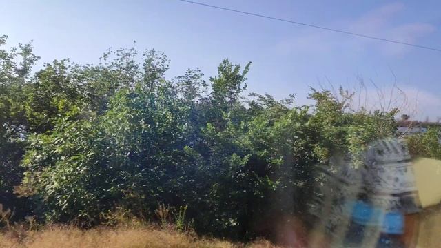 Едем домой в поезде 21.06.25.