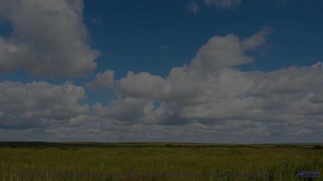 Здесь НЕЛЬЗЯ купаться после заката! - The World is Waiting -- Glad Rags -- Wonder Under