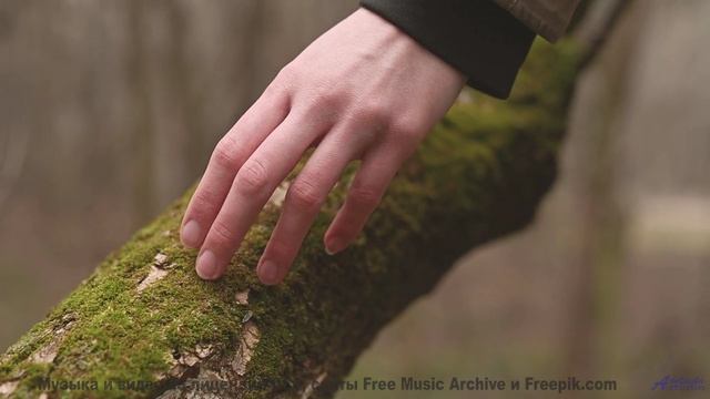 Пейзажи под трек, который разрывает чарты - Life Is A Poem And You Are My Friend -- HoliznaCC0 -- TH
