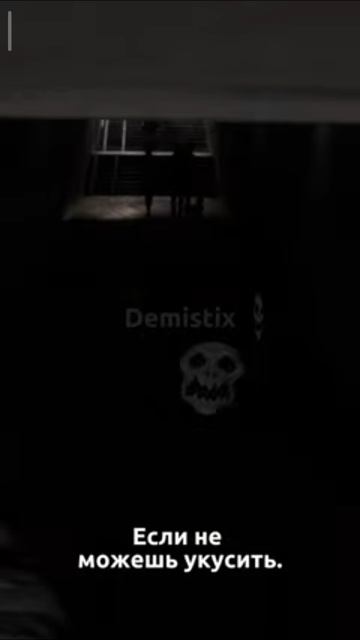 1000248917.mp4