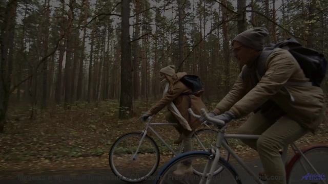 Скорость, адреналин и звуки, от которых сжимаются кулаки! - Massive Attack -- Podington Bear -- Homa