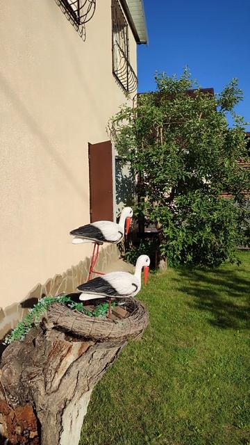 Дачная зарисовка