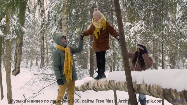 Леса оживают как картина на этой музыке - Sanitary Fair -- Plates Of Cake -- Live at WFMU for Burn I