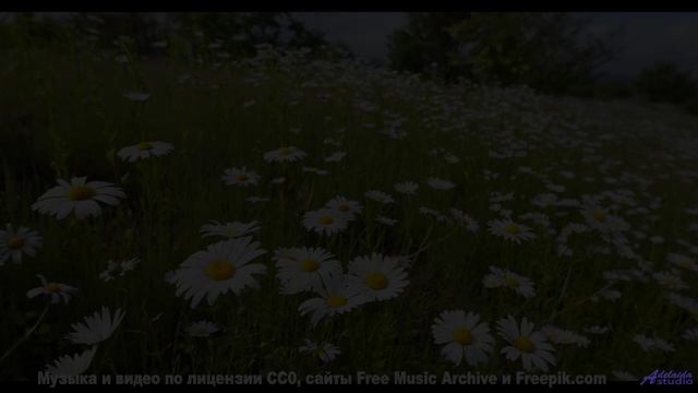 Послушай эта музыка усиливает каждое мгновение - Praying For A Blessing -- Kirk Osamayo -- Season Tw