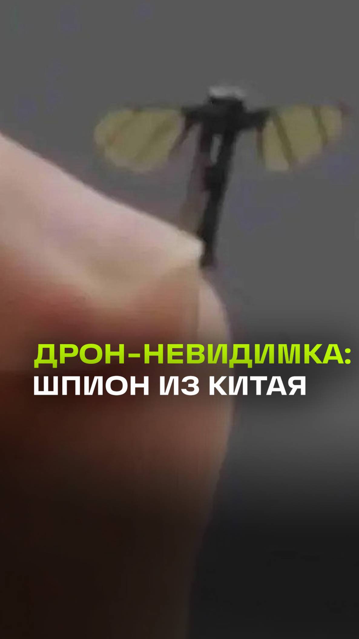 Китайский дрон-шпион: меньше комара, опаснее разведгруппы