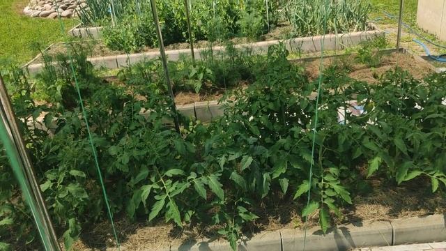 Что стоит обязательно замульчировать