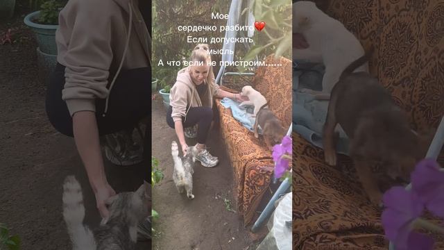 Волонтерство для души
Поможем вместе😇