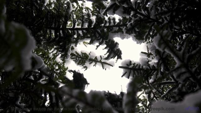 Леса раскрываются глубже, когда звучит такая мелодия - Funebana -- Mello C -- Concept Beats Vol. 4 N