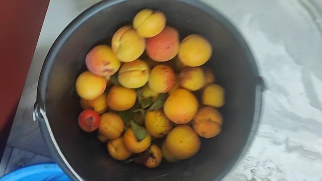 Пять часов на кухне - это называется...🫠🥴🥴