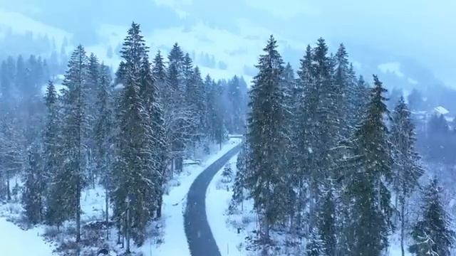 Шелковые звуки природы, гармония ветра и воды — Часть 2
