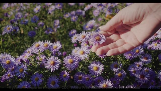 Что скрывает этот туман - Emerald Cunard -- Tojamura 7 -- Love Dies EP