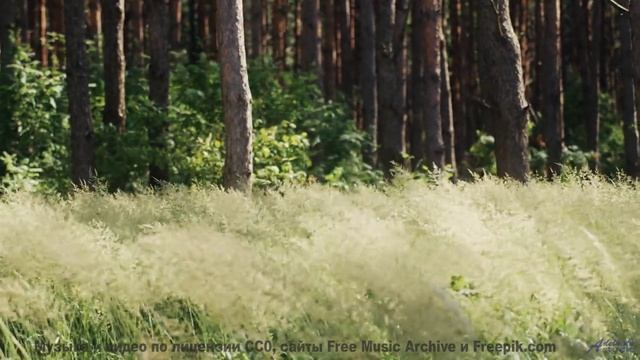 Слушайте эту песню - и пусть мир вокруг исчезнет! - Life and Times -- Derek Clegg -- Good Graces