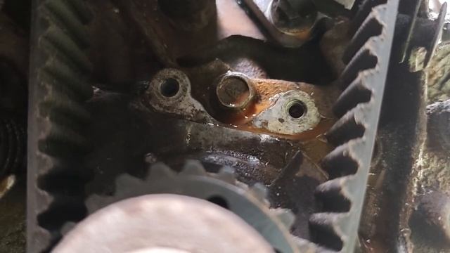1000067621.mp4