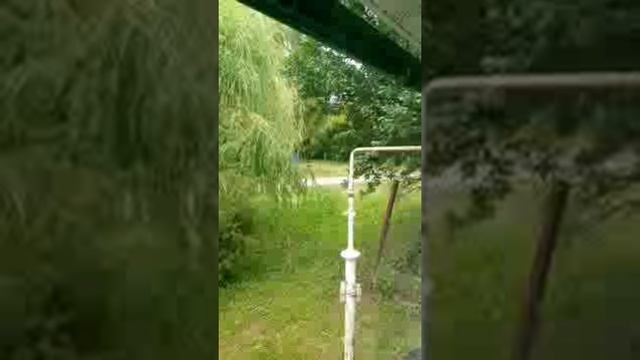 снова травят по ночам