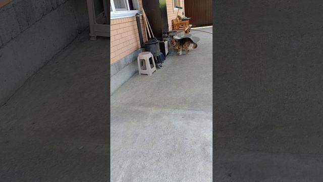1000003824.mp4