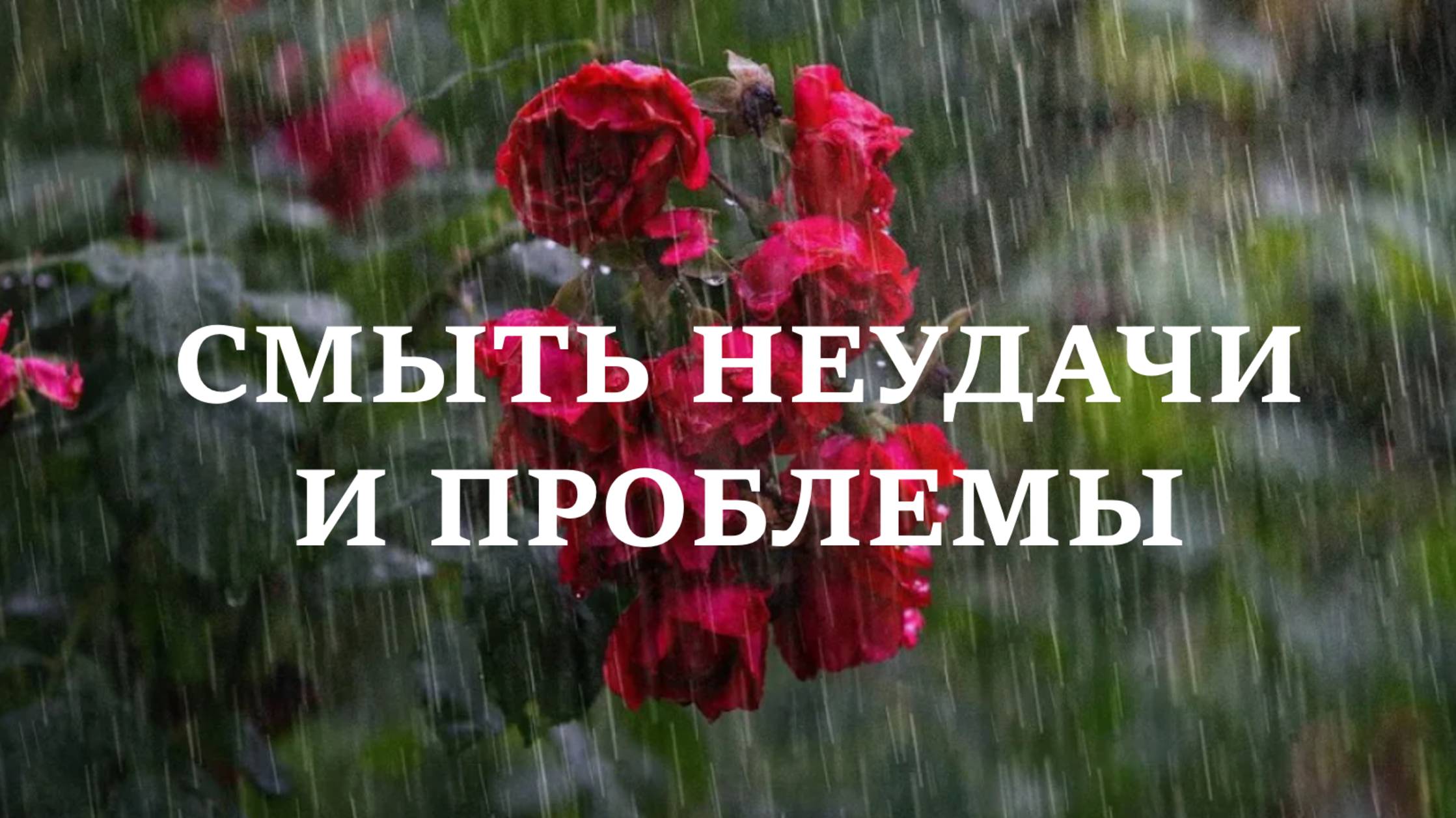 СМЫТЬ НЕУДАЧИ И ПРОБЛЕМЫ. Скажите это в дождь