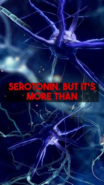 Can thankfulness change your brain and boost your mental state? Ancient wisdom revealed mental...