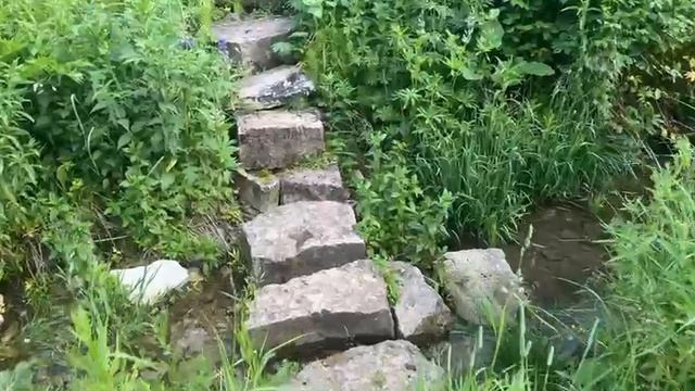 Ручеёк в Шеморданском заказнике