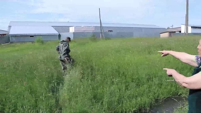 Новости Кирова 20.06.2025