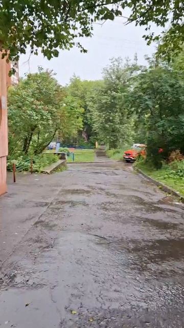 Дождливый день