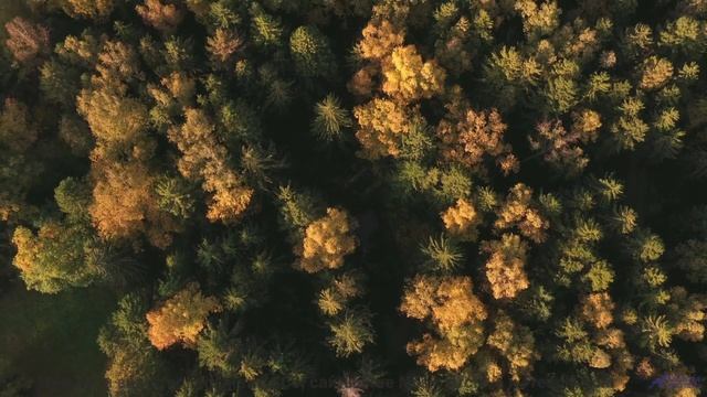 Камера летит над полями, музыка бьёт по сердцу - Lets Skip To The Good Bit -- Duncan Reid and the Bi