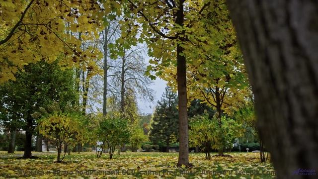 Этот саундтрек - как бриз, который касается вашей души! - Living Life -- Scott Holmes Music -- Inspi