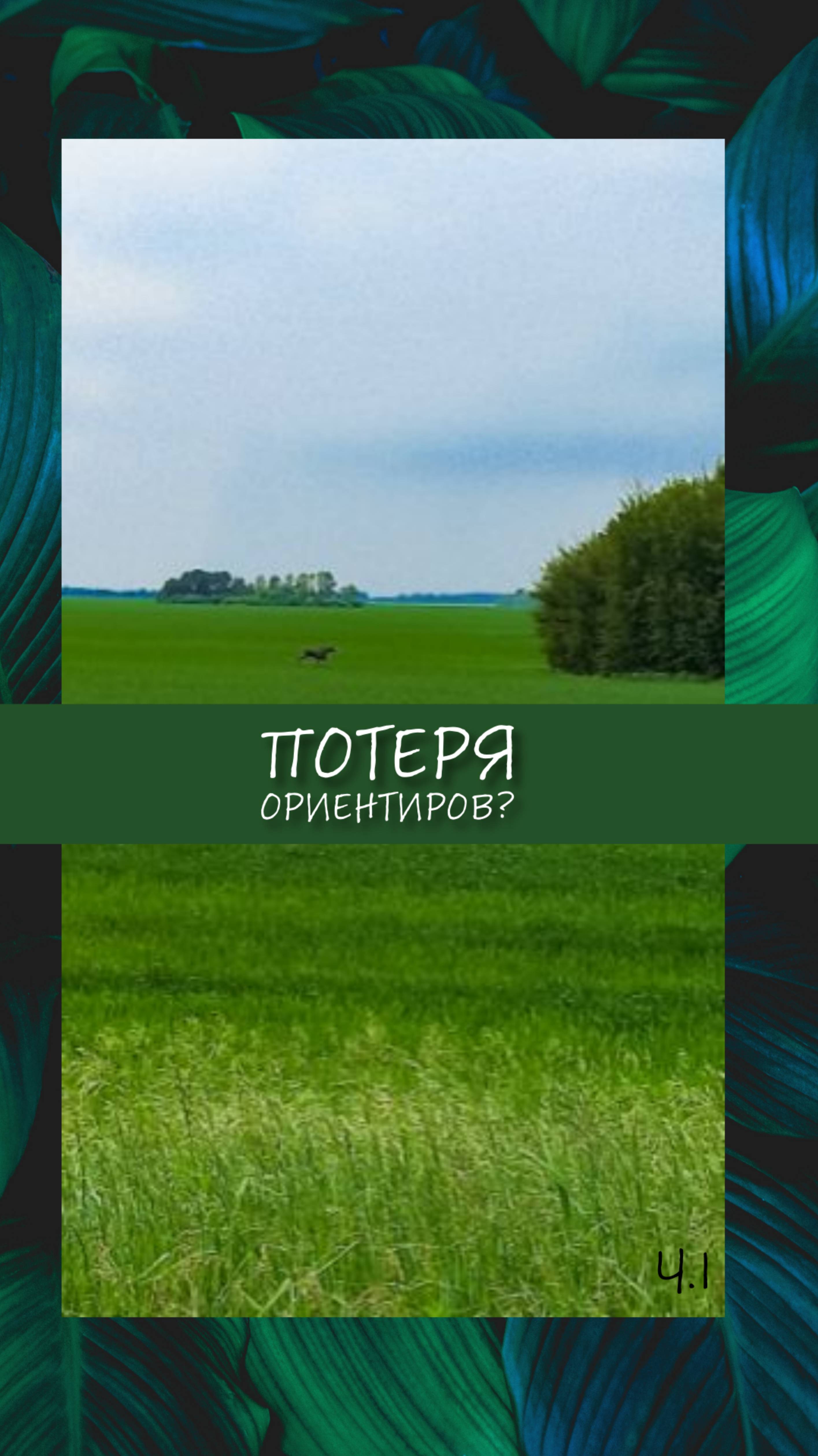 И кто тогда? #shorts