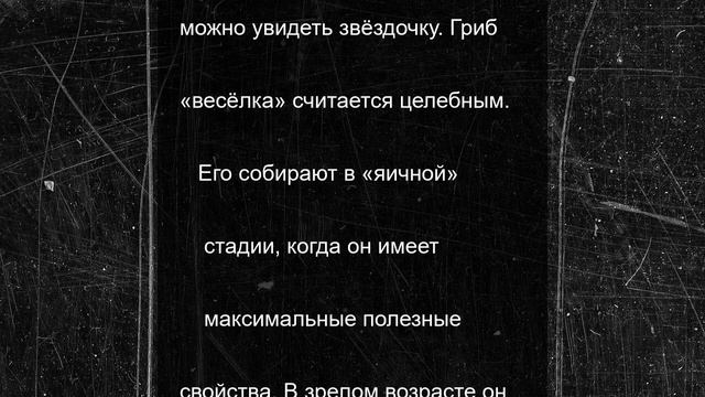 В Аксайском районе ребенок нашёл редкий гриб веселку