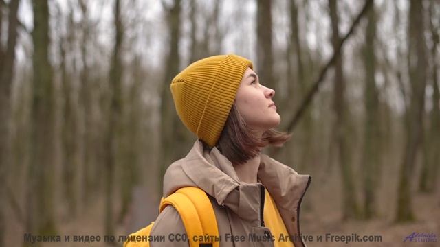 Звуки, очищающие душу - вы не готовы к этому опыту! - Great Beginnings -- Ketsa -- The New World