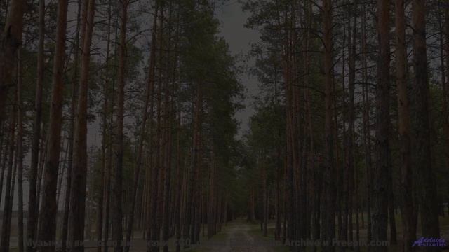 Клип, созданный на суперкомпьютере - потрясающе или пугающе - DJ Millenium -- New Millennium String